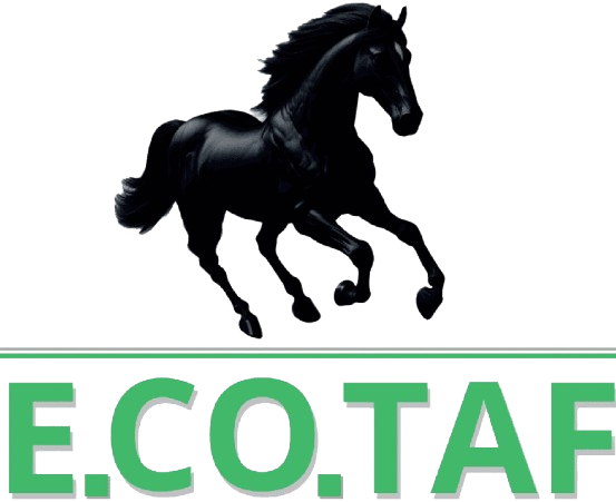 Ecotaf